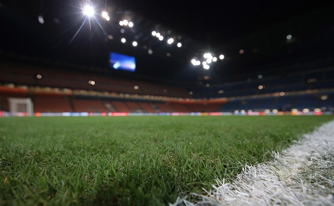 Проблемы с газоном в Будё